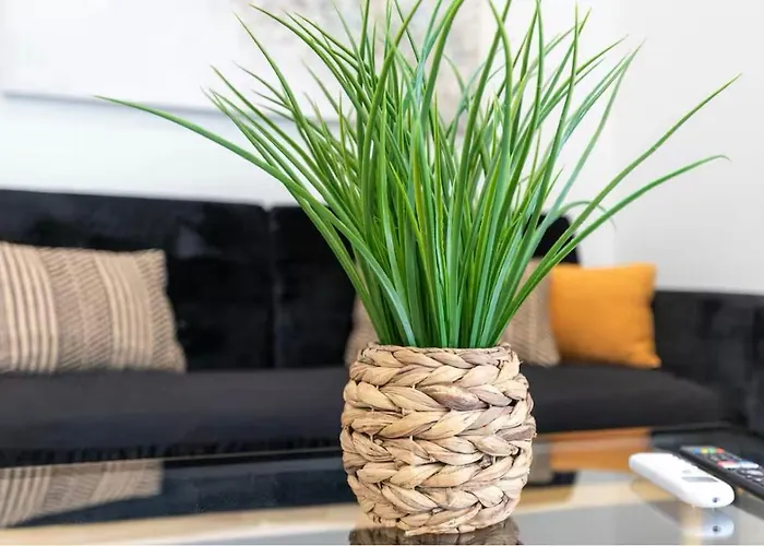 Artbel Rentals En Ventas-Elfo